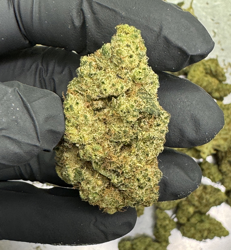 THCB květy Ice Cream Cake - THCB: 30% CBD: 19,1 % THC: 0,76%