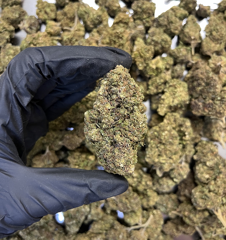 THCP květy Lemon Gelato – 7 % THC-P, 10 % HHC & 0,68 % THC