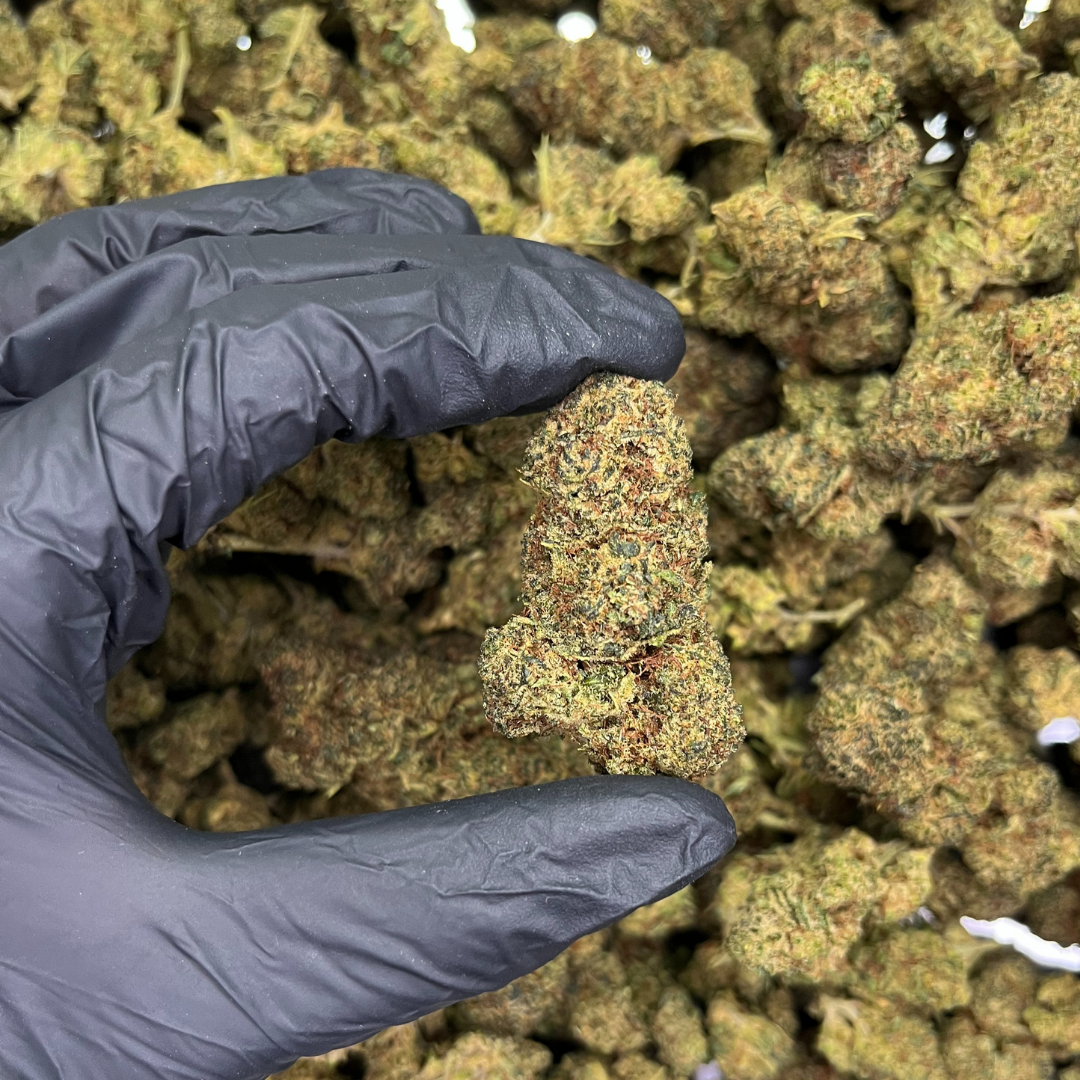 THC-B květy ORANGELLO - THCB:30%,CBD: 17,6 %, THC: 0,70%