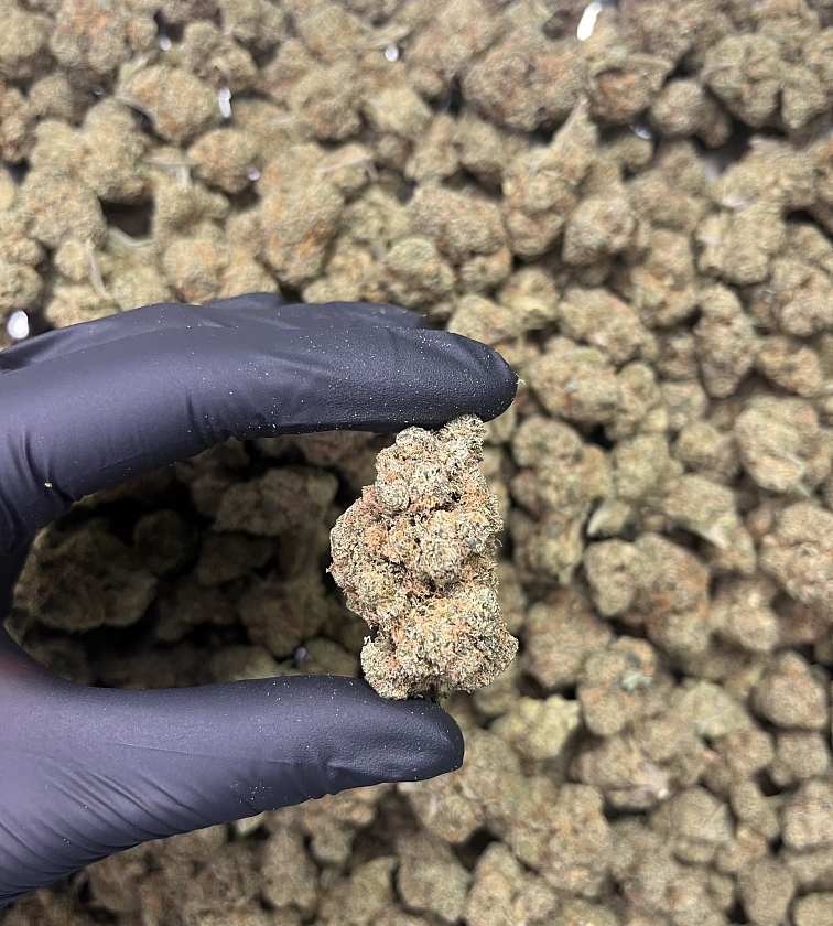 THC-JD květy Banana Runtz - THCJD: 15%, THCB: 15%, THC: 0,48%