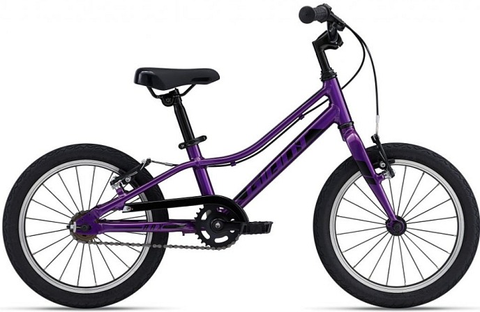 Giant ARX 16 F/W (Purple) 2023/24