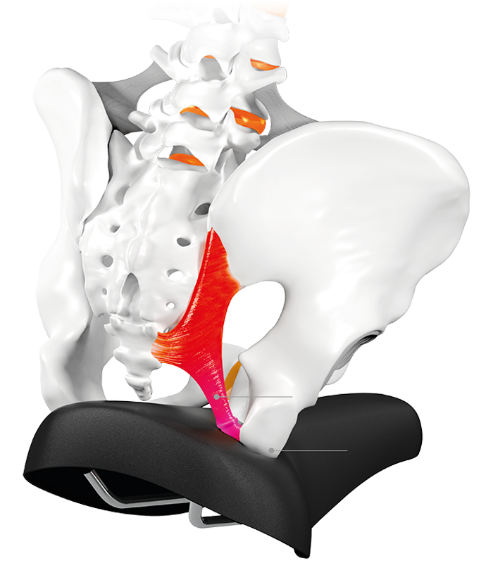 SQlab Kraťasy ONE12R