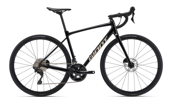 Giant Contend AR 1 Panther 2024