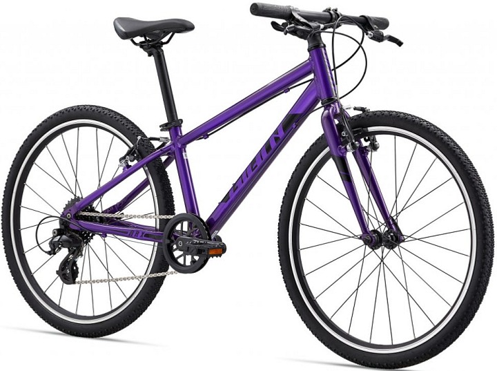 Giant ARX 24 (Purple) 2023/24
