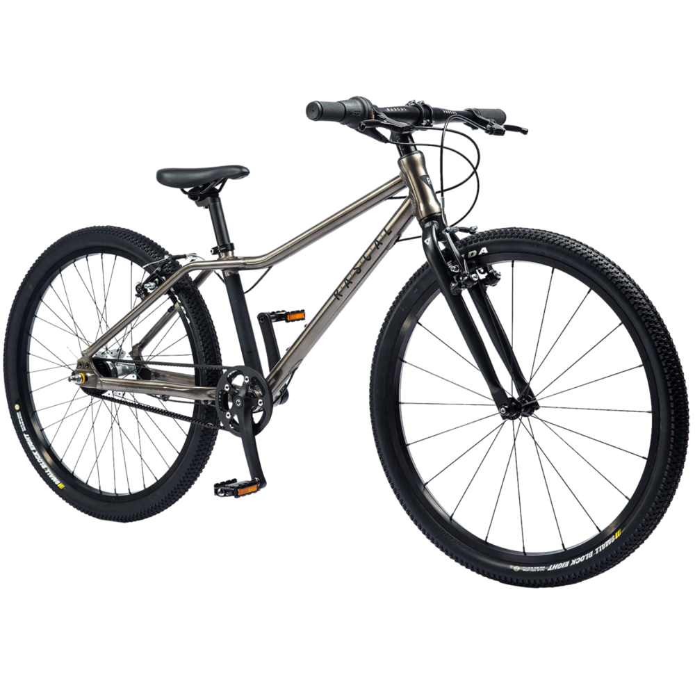 Rascal 24" Sturmey Archer 5s Titan (šedá)
