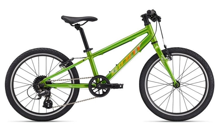 GIANT ARX 20 Metallic Green 2025