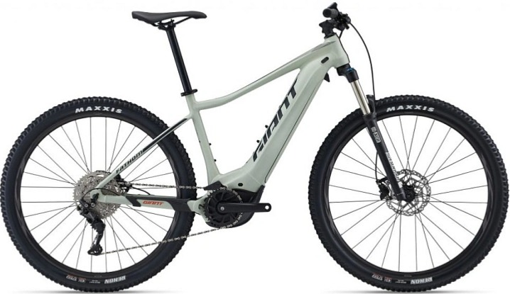 Giant Fathom E+ 2 (Desert Sage) 2023/24