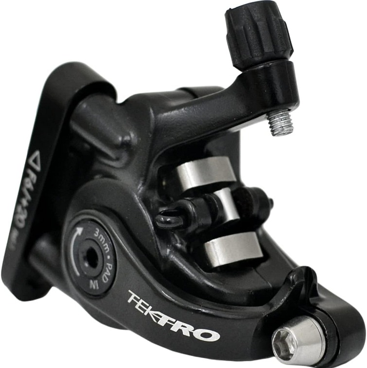 LIV Avail AR 2 Bay Leaf 2024