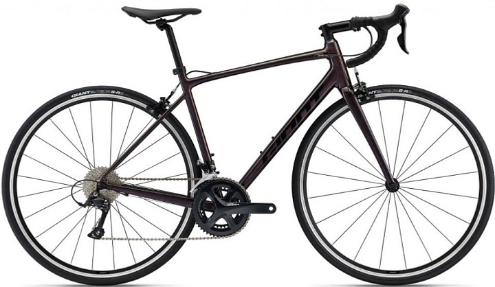 Giant Contend 1 2023/24