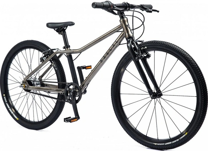 Rascal 26" Shimano Nexus 7s Titan (šedá)