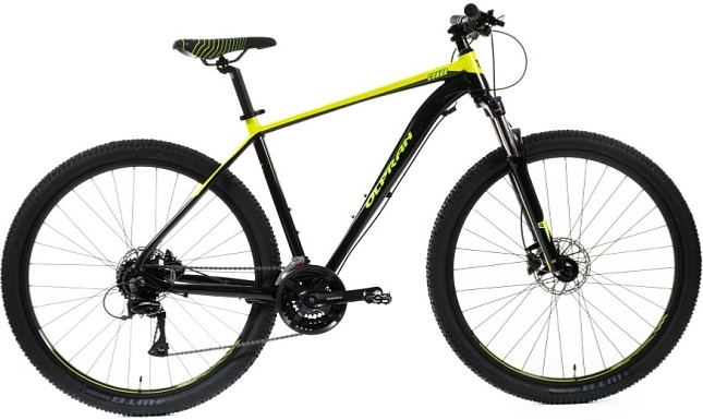 Olpran Conor 29 2024