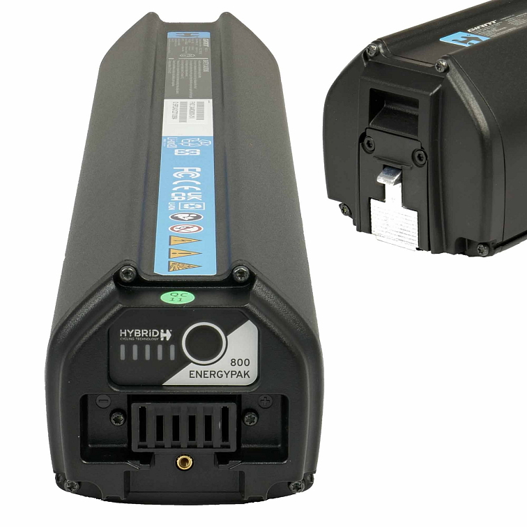 Giant Reign E+ 3 Raw Aluminum 2024