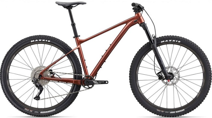 Giant Fathom 29 2 (Terracotta) 2023