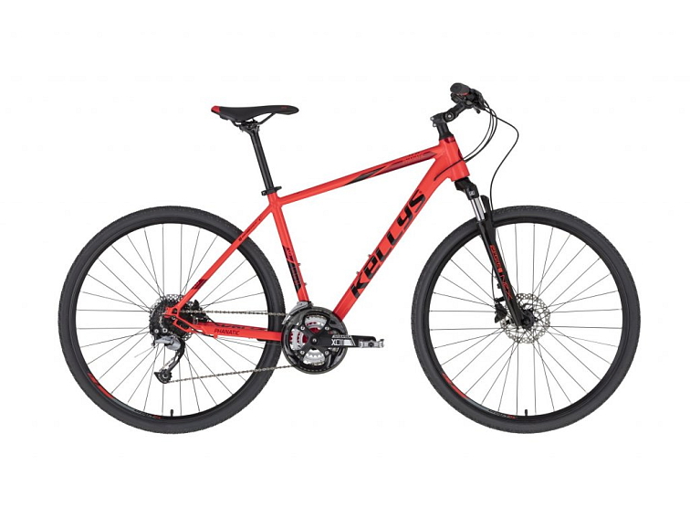 Kellys Phanatic 10 (Red) 2025