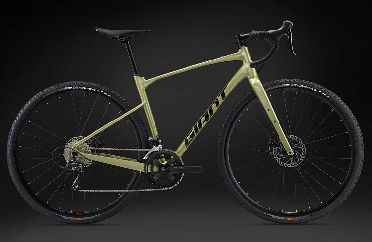 Giant Revolt 2 Bay Leaf 2024