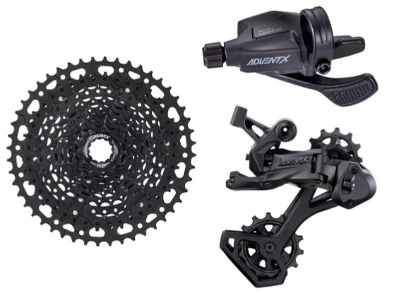 LIV STP 26-Liv Eucalyptus 2025