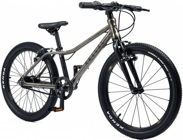 Rascal 20" Sturmey Archer Titan (šedá)