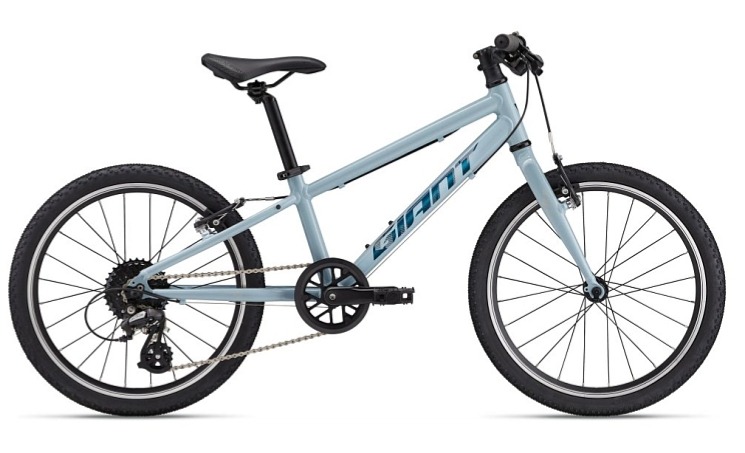 GIANT ARX 20 Soap Suds 2025