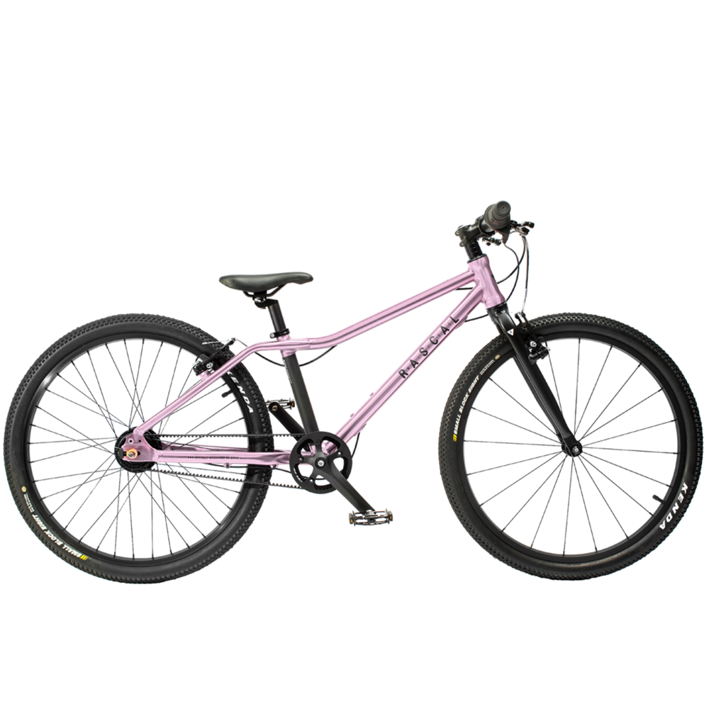 Rascal 24" Sturmey Archer 5s Raspberry (růžová)