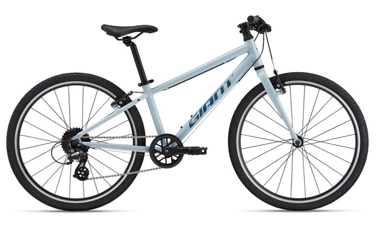 GIANT ARX 24 Soap Suds 2025