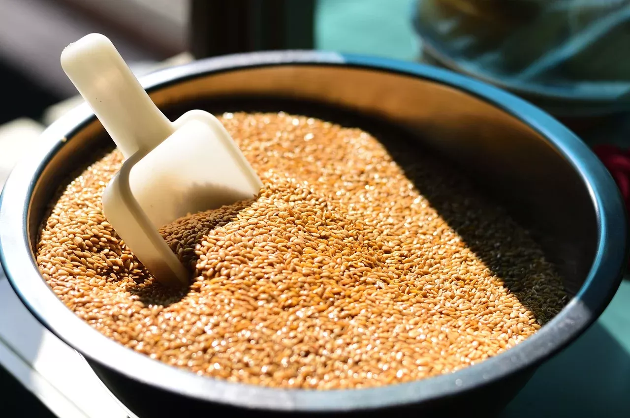 BIO lněné semínko - zlaté, 300 g