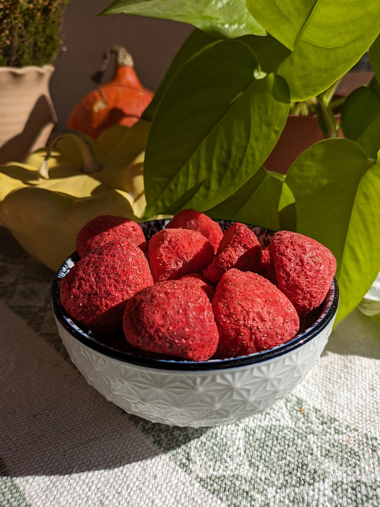 JAHODY LYOFILIZOVANÉ (SUŠENO MRAZEM)