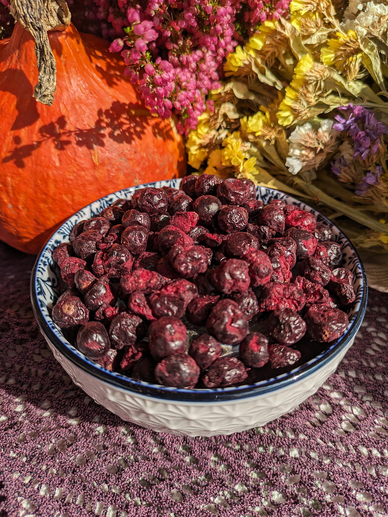 ČERNÝ RYBÍZ LYOFILIZOVANÝ (SUŠENÝ MRAZEM)