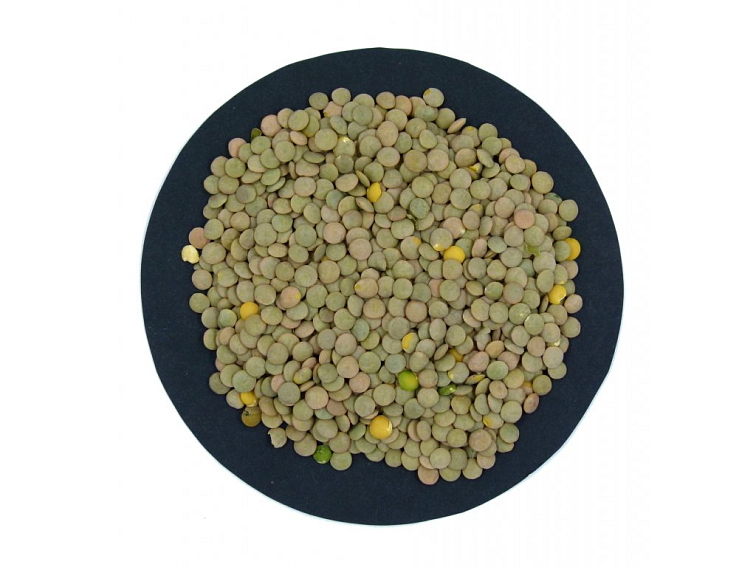 BIO čočka hnědá - neloupaná, 1 kg