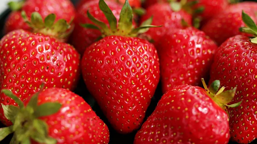 JAHODY LYOFILIZOVANÉ (SUŠENO MRAZEM)