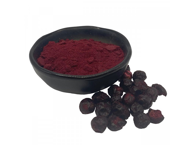 ČERNÝ RYBÍZ LYOFILIZOVANÝ (SUŠENÝ MRAZEM) - PRÁŠEK