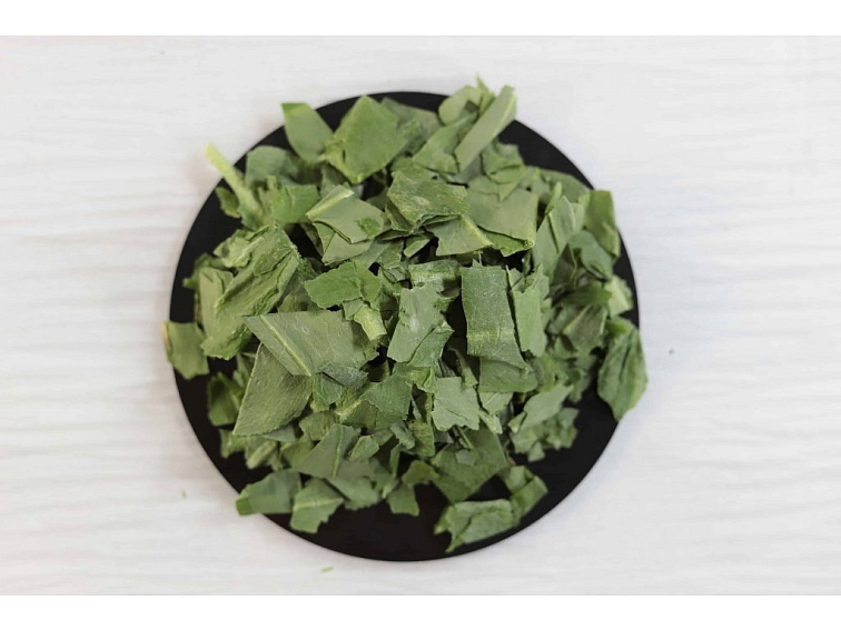 MEDVĚDÍ ČESNEK LYOFILIZOVANÝ (SUŠENÝ MRAZEM)