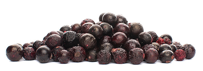 ČERNÝ RYBÍZ LYOFILIZOVANÝ (SUŠENÝ MRAZEM)