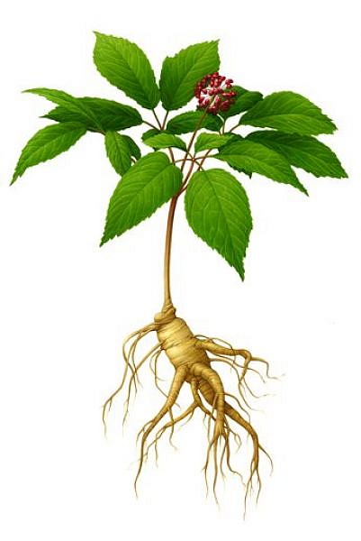 Luxusní růstové sérum na řasy LuxeLash Infinity