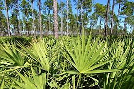 Zvýhodněné dvojbalení růstového séra LuxeLash Infinity na 5 měsíců