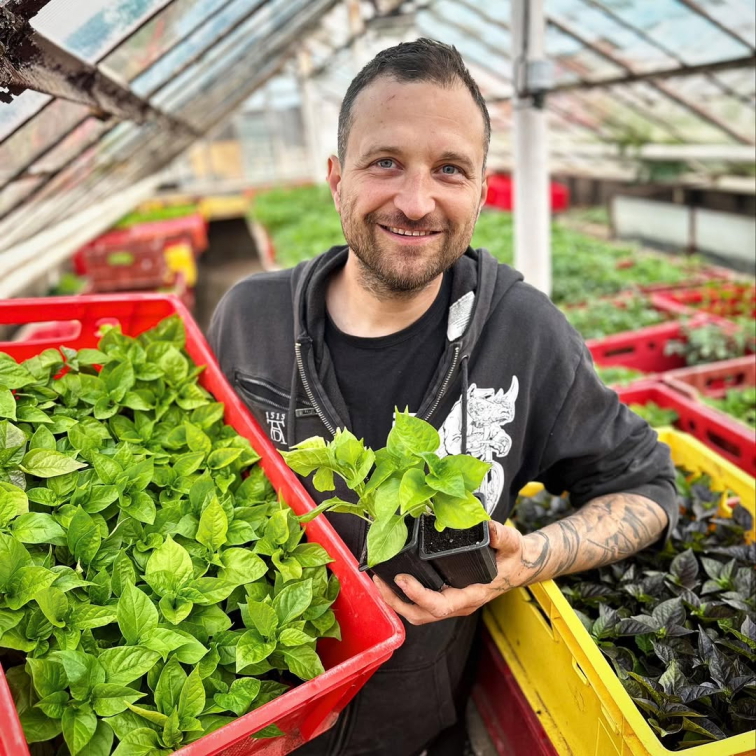 CELÁ SERIE DVANÁCTI CHILLI OMÁČEK