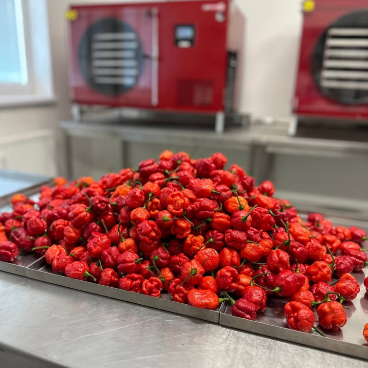 SET 6 CRAZY CHILLI OMÁČEK