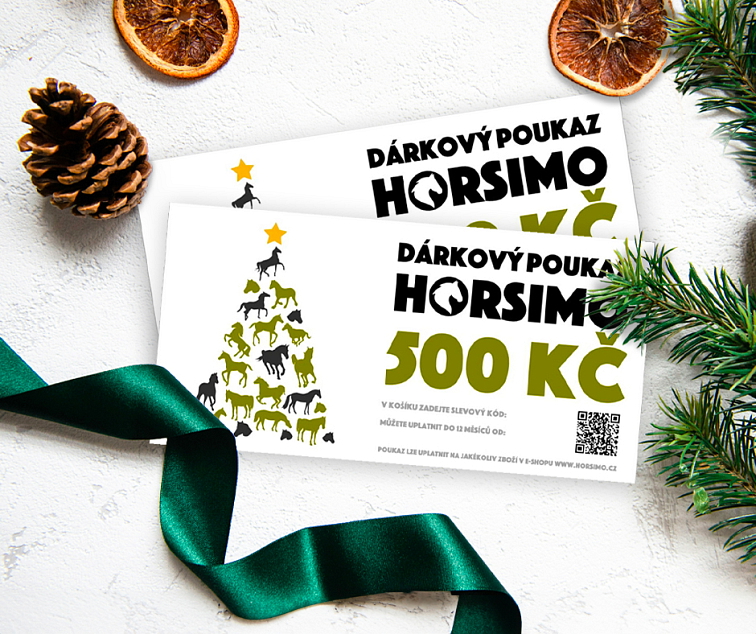 Tipy na vánoční dárky pro milovníky koní 