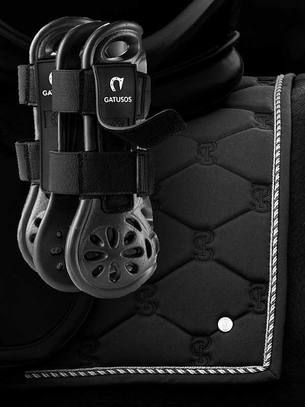 Vybavení pro jezdce a koně: Proč si zasloužíte to nejlepší?