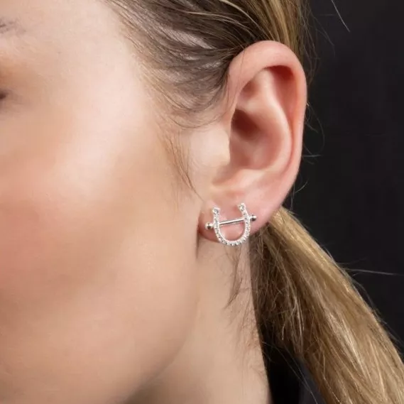 Tipy na vánoční dárky pro milovníky koní 