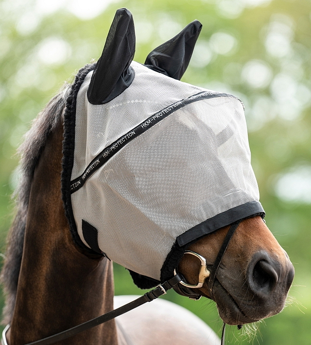 Článek 2.- Muchaři - mějte se na pozoru