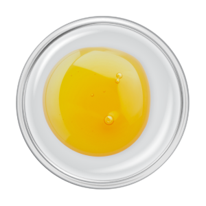 ageLOC Dermatic Effects