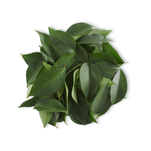 ageLOC Galvanic Spa Facial Gels pro anti-ageing zařízení − 3 balení