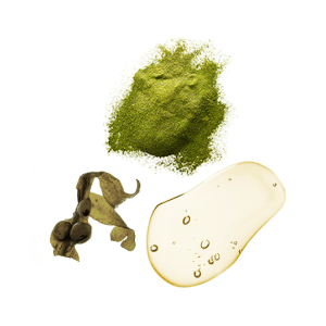 ageLOC LumiSpa iO Beauty Device Sada pro péči o pleť – pro normální až smíšenou pleť Normal