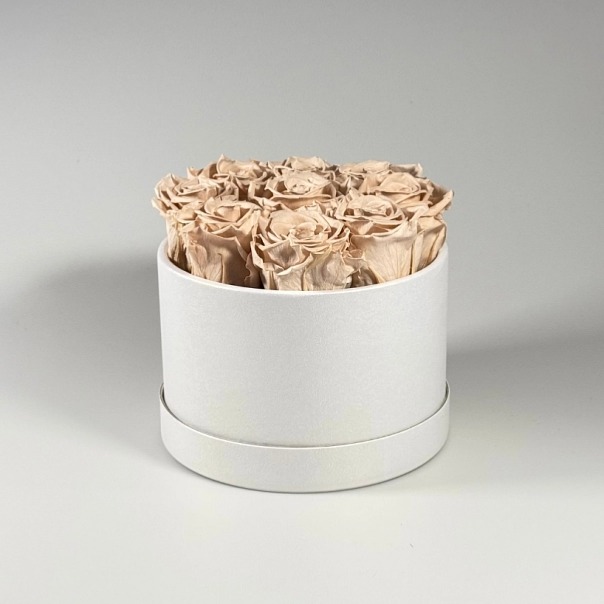 Bílý Lovely Box - Starorůžové růže