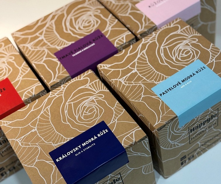 Bílý Lovely Box - Starorůžové růže