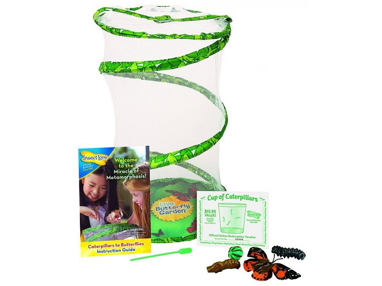 Motýlia Farma (10 húsenice)
