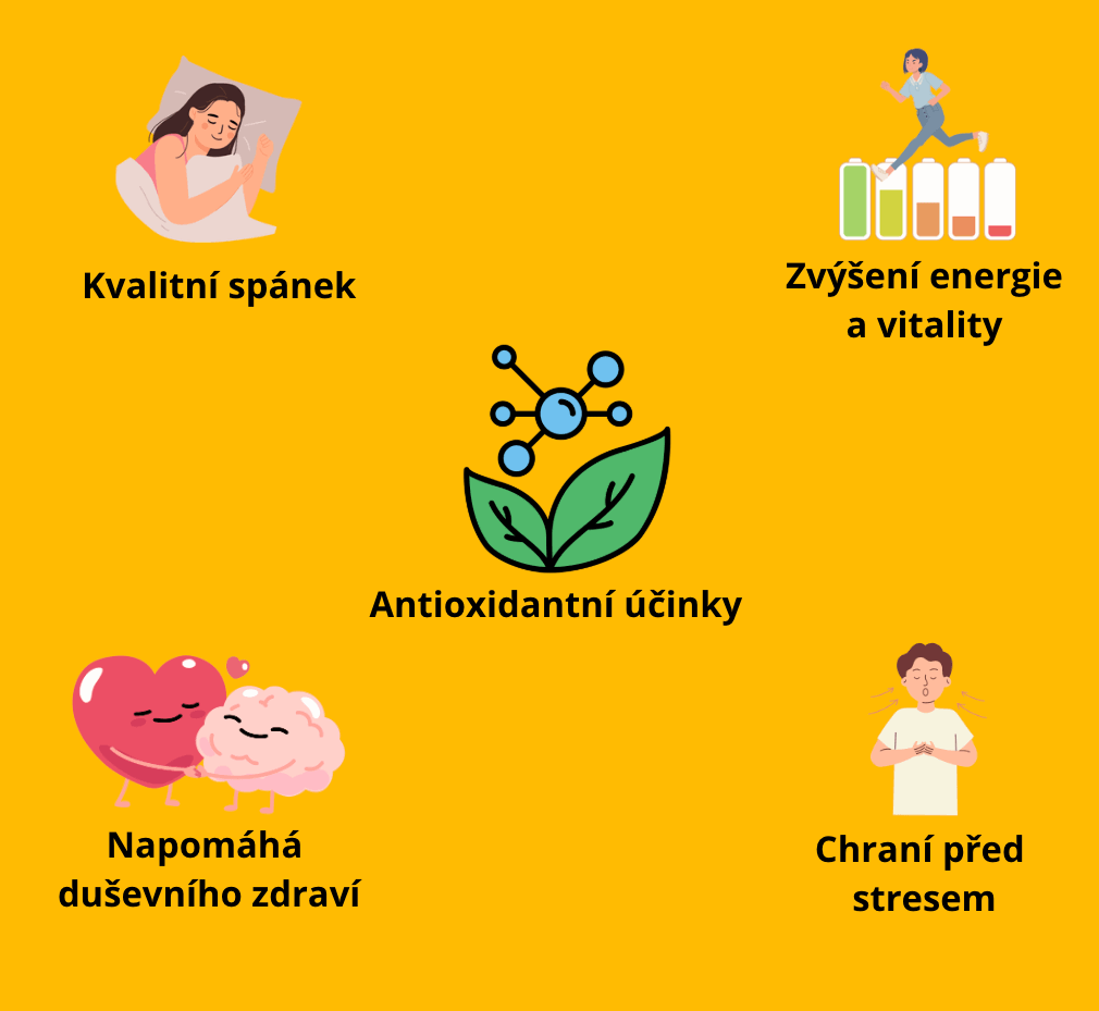 Královská Ashwagandha 600 mg, extrakt z Ašvagandy s 5 % withanolidů, 60 kapslí