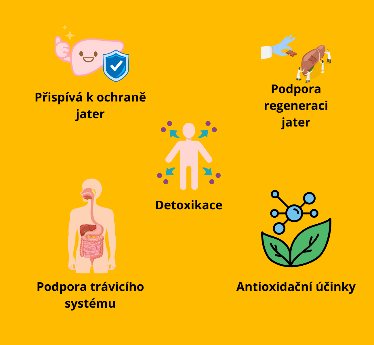 Královský Ostropestřec Marianum 500 mg, extrakt 80% Silymarinu, 90 kapslí