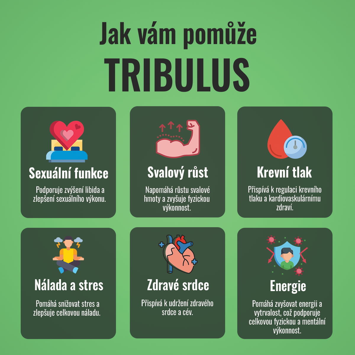 Královský Tribulus 90% Kotvičník 500 mg 4v1, 60 kapslí