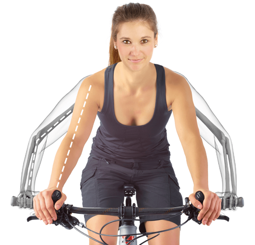 Studie vnitřních rohů